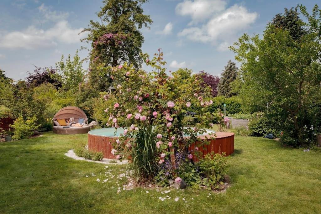 Zuhause Im Paradies Ferienhaus